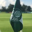 Treinador do Porto exalta o Palmeiras: 'Um dos maiores"