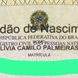 Torcedor fanático do Palmeiras 'mora' no vestiário do Allianz Parque e batizou a filha com o nome do clube
