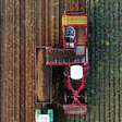 Exportações e dólar forte impulsionam agronegócio, aponta BB
