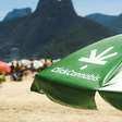 Click Cannabis cresce 7 vezes e mira R$ 30 milhões com CBD acessível