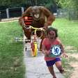 Flamengo 3×1 Chelsea: os melhores memes do vitória rubro-negra