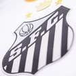 Santos frustra planejamento do Botafogo