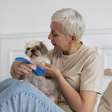 8 raças de cachorros recomendadas para tutores idosos