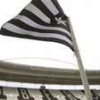 Rede Globo se dá bem com a torcida do Botafogo