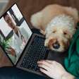Sabia que existe telemedicina para pet? Recurso auxilia tratamentos e emergências para animais