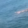 Bombeiros resgatam mais de 70 praticantes de stand up paddle após ventania no RJ