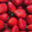 Comer 2 morangos por dia ajuda na saúde? Descubra os benefícios da fruta