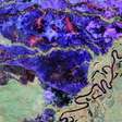Da Amazônia à Antártida: as primeiras imagens do Biomass