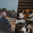 Solidão é agora um problema de saúde pública; há cada vez mais evidências de que os animais nos ajudam a aliviá-la