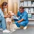 8 dicas para escolher o melhor veterinário para o seu pet