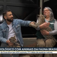 Repórter da Globo é 'atacado' por filho de onça durante reportagem ao vivo