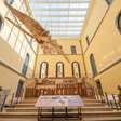 Fotos mostram interior do Museu Nacional, que reabre nesta quarta-feira após 7 anos