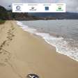 43 pinguins são encontrados mortos em praias do Litoral Norte de SP em apenas três dias; entenda