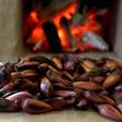 Pinhão no inverno: conheça 5 receitas típicas e nutritivas da culinária gaúcha
