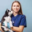 8 doenças comuns em filhotes de cachorro e gato