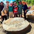 Fóssil de tartaruga gigante que viveu há 13 milhões de anos é achado no Acre