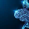 Somos nosso DNA: como os genes contribuem para as nossas características psicológicas