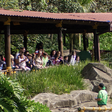 Como melhor aproveitar o Animália Park, um passeio que une parque de diversão e zoo em São Paulo?