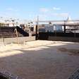 Torneio internacional inédito de Beach Tennis começa nesta terça-feira em Sorriso (MT)