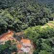 Como a degradação da Amazônia aumenta o risco de novas pandemias