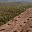Projeto ambiental aprovado no Brasil gera críticas internacionais