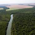 Como votou cada deputado no projeto que flexibiliza o licenciamento ambiental; veja