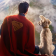 Herói de quatro patas: pet do Superman causa boom nas buscas por adoção de cachorro após estreia do filme