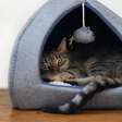 Cama para gato: 5 opções quentinhas para aquecer seu pet no inverno (+ dica extra de como fazer uma em casa)