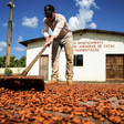 Programa nacional de territórios sustentáveis: o que é e por que o Brasil precisa ter o seu