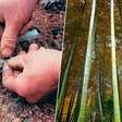 Mil anos antes da perfuração do primeiro poço de gás moderno, a China já extraía com tubos de bambu