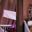 Família se assusta ao encontrar cobra em berço de bebê; veja vídeo