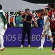 Abel vê bom desempenho do Palmeiras contra o Vitória: 'Perdemos dois pontos'