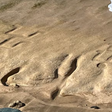 Desenhos rupestres de 500 anos reaparecem em praia do Havaí após recuo da maré