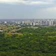 Quais cidades e estados brasileiros têm os maiores índices de arborização urbana? Você vai se surpreender