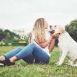 7 raças de cães de grande porte ideais para quem vive em casa com quintal