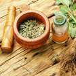 30 Plantas Medicinais e para que servem