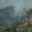 Prefeita atribui maior incêndio do verão na França à ação humana: 'irresponsabilidade das pessoas'