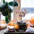 Feng Shui: o que é e como pode ser aplicado na sua vida?