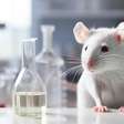Proibição de testes cosméticos em animais é um avanço ético e de responsabilidade científica no Brasil