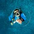 5 motivos para visitar Fernando de Noronha