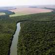 Licenciamento ambiental: o que especialistas e entidades disseram sobre os 63 vetos de Lula