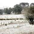 Com frio extremo, cidades do Rio Grande do Sul registram neve
