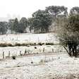 Onda de frio provoca neve na Serra Gaúcha e em Santa Catarina