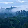 Akakor: a lenda da cidade perdida na Amazônia