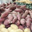 Nutritiva e versátil, batata-doce chama a atenção ao render até suco