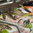 Como escolher o melhor peixe na feira?