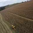 Colheita de milho 2ª safra do Brasil avança para 84,33% da área, diz Pátria AgroNegócios