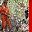 Corpo de mulher é encontrado enterrado em 'curral' no DF