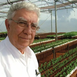 Quem é o 'pai da soja' e como ele ajudou o Brasil a se tornar o maior produtor e exportador do mundo