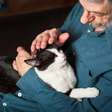 Gatinhos com demência e humanos com Alzheimer são mais parecidos do que achávamos